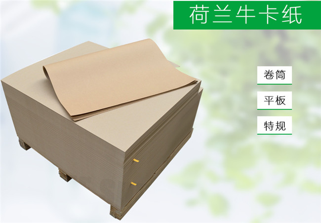 002荷蘭?？?jpg